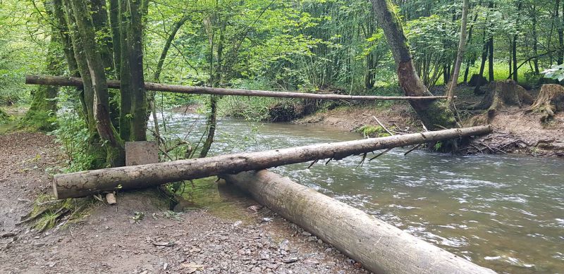 Nacktwanderung im Bergischen Land